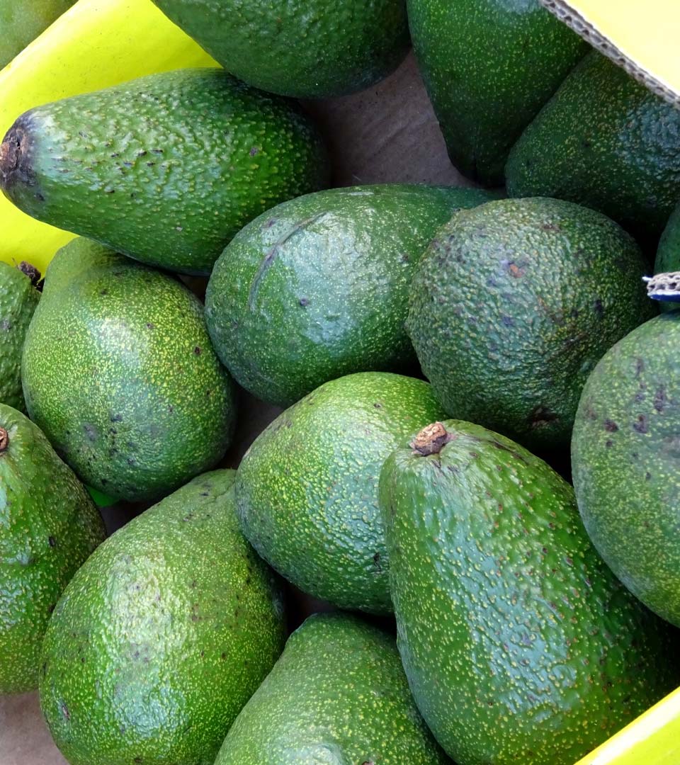avocados